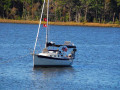 Chattahoochee Coup Too 207 1181