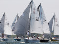 7 31ogrocki113