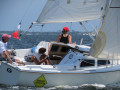 IMG 4231