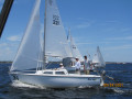 IMG 9009