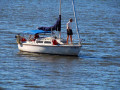 Chattahoochee Coup Too 221 1195