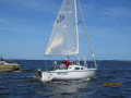 IMG 9146