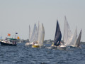 DSC 5742