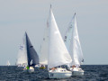 DSC 5827