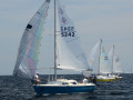 DSC 5833