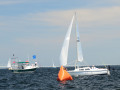 DSC 5842