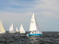 DSC 5883