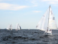 DSC 5895