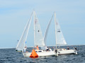 DSC 5918