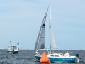 DSC 5920
