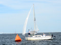 DSC 5928