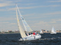 DSC 5641