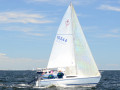 DSC 5647