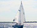 DSC 5711