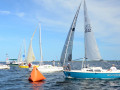 DSC 5721