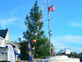 DSC 5737