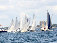 Racing Day 4, PYC, Talbot Wilson