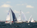 DSC 6151