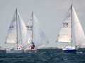 DSC 6159