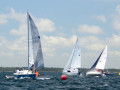 DSC 6174