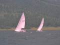 02820051 1602