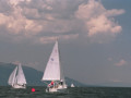 02820061 1612
