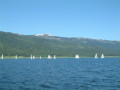 DSCF0019 1679
