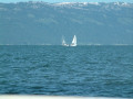 DSCF0026 1686