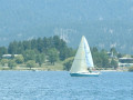 DSCF0073 1733