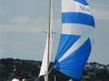 gf 11 2264