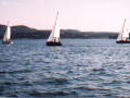 gf 83 2236