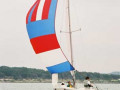 gf 58 2311