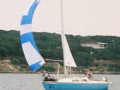 gf 64 2317