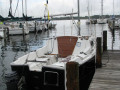 IMG 3722 3798