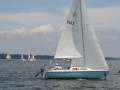 IMG 2037 3974