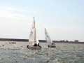 Junior Regatta June 19  2011 011 4481