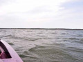 DSC 0091 4771