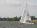 Tuesday Genoa   Spinnaker 017 4853