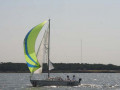 Tuesday Genoa   Spinnaker 093 4929
