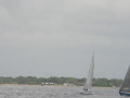 IMG 3476