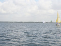 IMG 3496