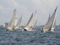 IMG 3554
