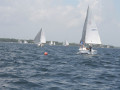 IMG 3618