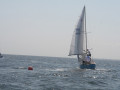 IMG 3726