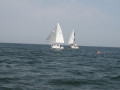 IMG 3928