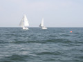 IMG 3930