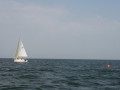 IMG 3942