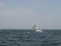 IMG 3946