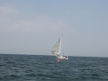 IMG 3947