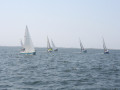 IMG 3986